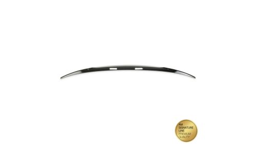 Spoiler BMW X6 E71 E72 Lip Carbon Look