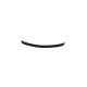 Spoiler Mercedes-Benz SLK R171 Lip Gloss Black