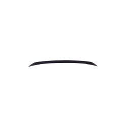 Spoiler Tesla Model 3 Lip Gloss Black