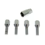 Locking Bolts