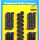 Ford 289-302 wave-loc rod bolt kit