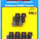 ARP GM 10 & 12 bolt ring gear bolt kit