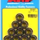 M12 x 1.25 12pt nut kit (10pcs)