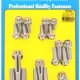 Muncie 4-SPD '69-75 SS 12pt case bolt kit