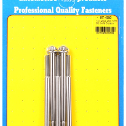 "1/4""-20 x 4.250 12pt SS bolts" (5pcs)