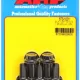 M10 x 1.25 x 20 12pt black oxide bolts (5pcs)
