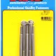 M6 x 1.00 x 75 hex SS bolts (5pcs)