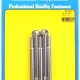 M8 x 1.25 x 100 hex SS bolts (5pcs)