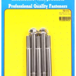 M10 x 1.25 x 100 hex SS bolts (5pcs)