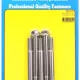 M10 x 1.25 x 100 hex SS bolts (5pcs)