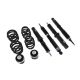 Suspension Street D2 Racing AUDI A5 SPORTBACK (4WD) 09+