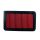 D1Spec Panel Air Filter AF025