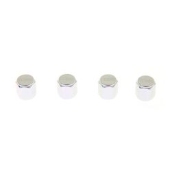 Valve cap D1Spec D1S035 Silver