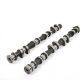 Piper Camshaft Ford 2.0/2.5L 16v Duratec VVT Fast Road