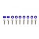 Universal Screw M8x1.25 25mm JDM Blue