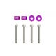 Universal Screw M6x1.0 45mm JDM Purple