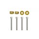 Universal Screw M6x1.0 45mm JDM Gold