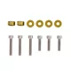 VTec Solenoid Washers Honda Gold