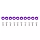Universal Screw M6x1.0 15mm JDM Purple