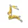 Angel kit Lexus IS200(300)/Toyota JZX110 70 deegres LHD