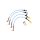 Audi RS6 C7 Brake Lines-Colour Solid Black Colour Solid Blue Colour Transparent Plain