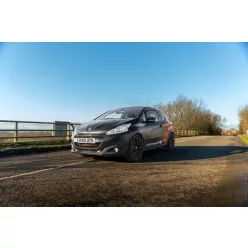   ECU Performance Software Peugeot 208 GTI/Citroen DS3 performance