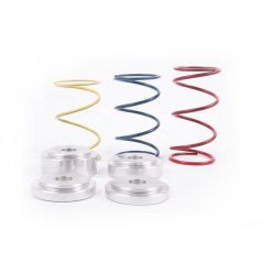 FMDVRAYV2 Spring Kit
