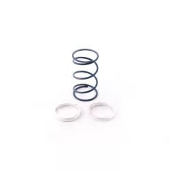   Wastegate Springs & Shims-Wastegate Spring Blue Spring and 2 shims (FMWCSB)