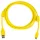 Haltech USB A to USB C Cable - 2.0M - Suits Nexus