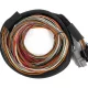Haltech Nexus IO16 Universal Wire in Harness 2.6m (8.5')