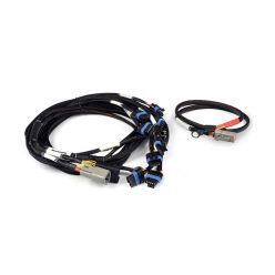 Nexus V8 IGN-1A GM/Chrysler wiring kit.