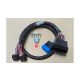 Adapter Plug'n'Play for Elite 1500 Polaris Slingshot (2015-2016)