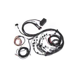   Elite 2500 engine wirening for Ford Falcon BA/BF Barra 4.0L I6 - Injector connector: Bosch factory EV1