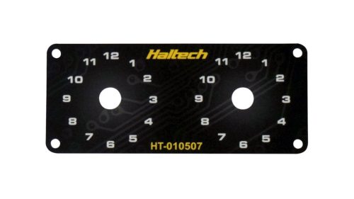 Dual switch panel