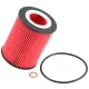 K&N Oil Filter PS-7007