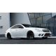 Diffuser Mercedes-Benz CLS C219 Side Skirts AMG W204 Look