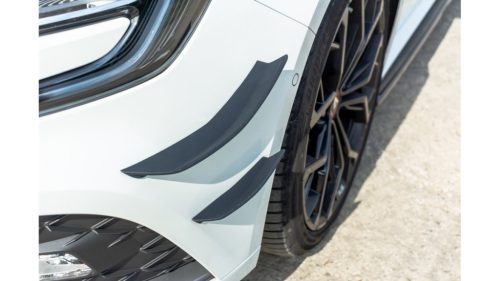 Canards Renault Megane IV RS