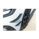 Canards Renault Megane IV RS