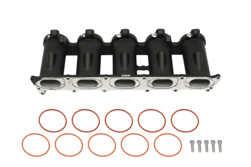 Casting Intake manifold runners Audi 2.5 TFSI AUDI RS3