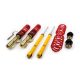 Coilover Suspension MTS AUDI A3 8L / SEAT Leon I Toledo II / SKODA Octavia I / VW Bora Golf IV New Beetle 96-