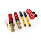 Coilover Suspension MTS A3 8L TT 8N Quattro / Leon I 4x4 / Octavia I 4x4 / Bora Golf IV New Beetle 4Motion 96-