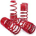 Lexus – MTS Technik Lowering Springs