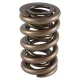 PAC Circle Track 1200 Series Valve Spring 1.244 OD Dual