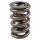 PAC Circle Track 1200 Series Valve Spring 1.260 OD Dual