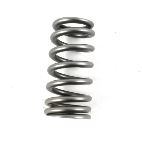PAC Beehive RPM Series Valve Spring Upgrade for GT500 and Co