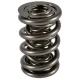 PAC Triple Drag Race 1300 Series Valve Spring 1.710 OD, 1.10