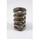 PAC Beehive Hot Rod Valve Spring