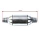 Sport catalytic converter FI 50 3-5L EURO 3 100 CPSI