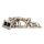 Exhaust manifold BMW 335i 135i N54 Single Turbo Extreme