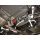 Toyota RAV4 2.4 06+ UltraRacing 2x 2-point rear/boczna Braces